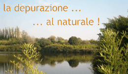 La depurazione al naturale